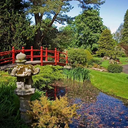 The Curragh Country House Accommodation ニューブリッジ エクステリア 写真