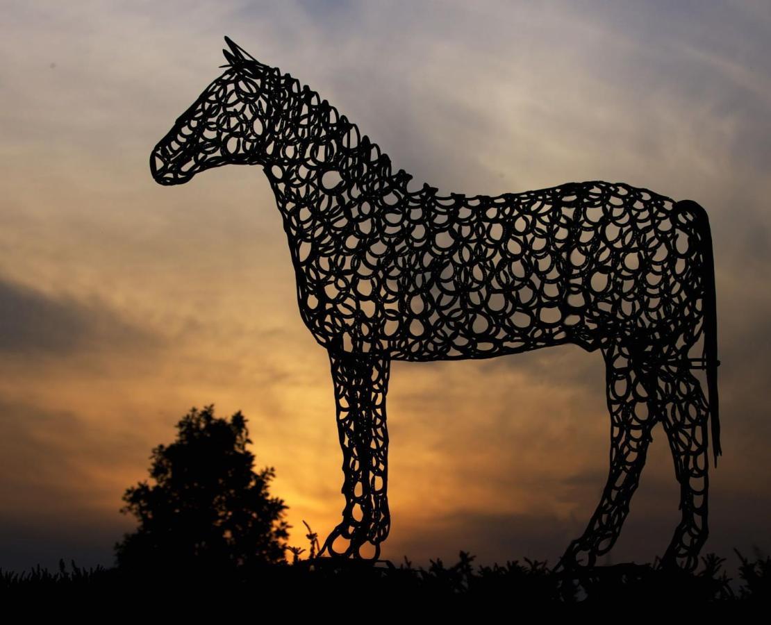 The Curragh Country House Accommodation ニューブリッジ エクステリア 写真