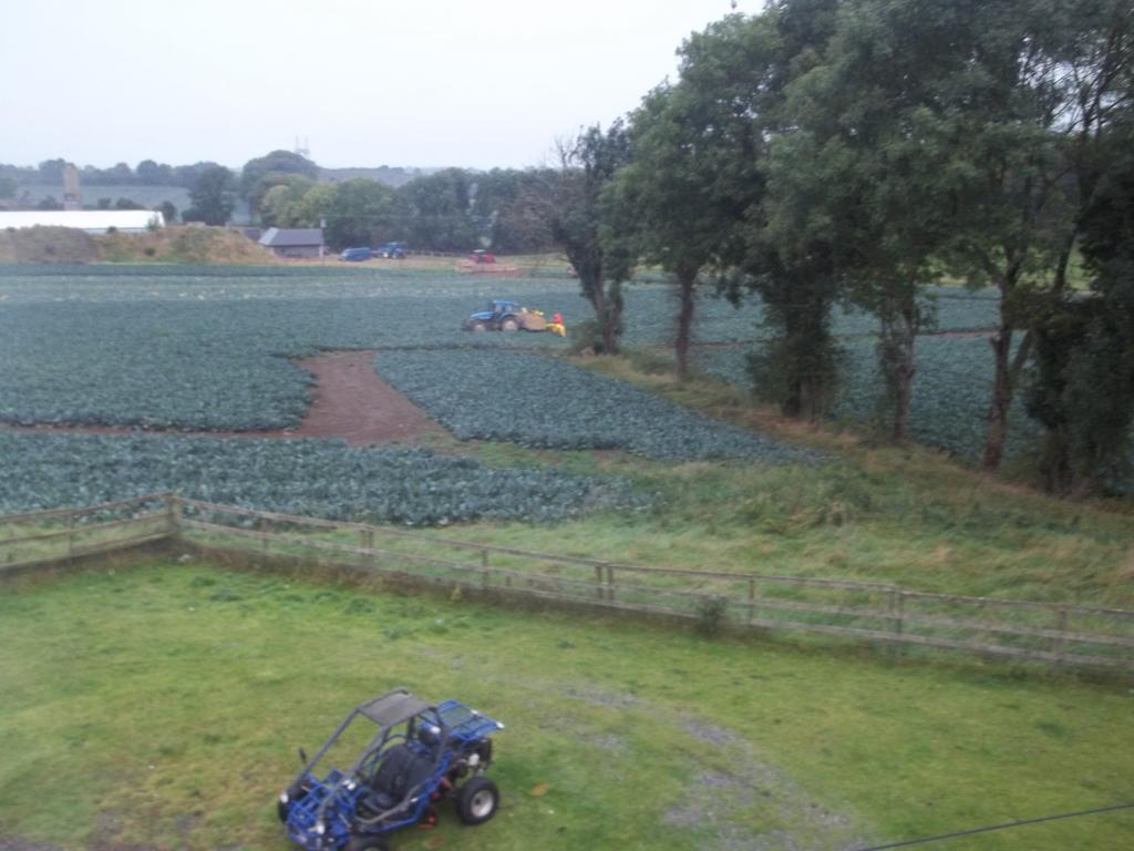 The Curragh Country House Accommodation ニューブリッジ 部屋 写真
