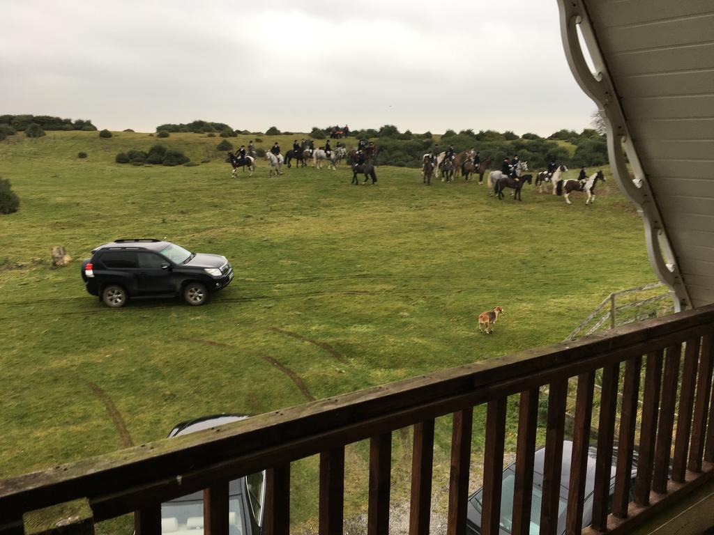 The Curragh Country House Accommodation ニューブリッジ エクステリア 写真