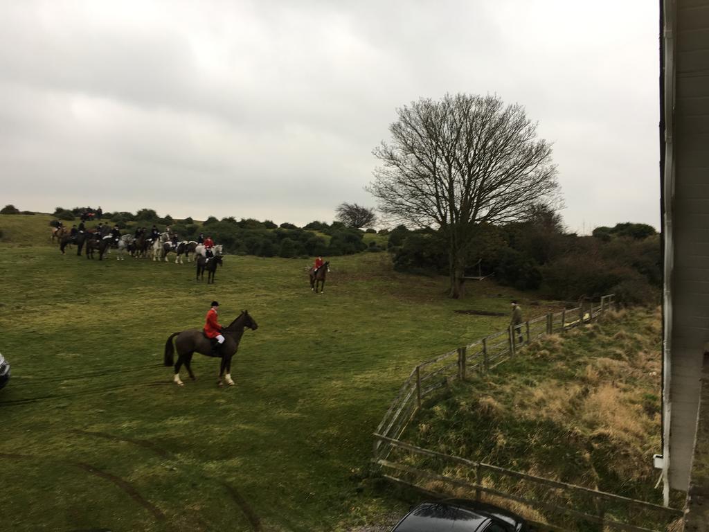 The Curragh Country House Accommodation ニューブリッジ エクステリア 写真